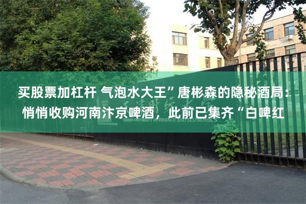 买股票加杠杆 气泡水大王”唐彬森的隐秘酒局：悄悄收购河南汴京啤酒，此前已集齐“白啤红