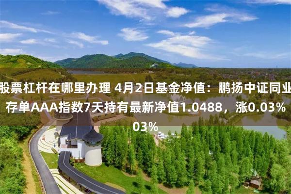 股票杠杆在哪里办理 4月2日基金净值：鹏扬中证同业存单AAA指数7天持有最新净值1.0488，涨0.03%