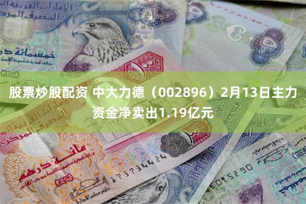股票炒股配资 中大力德（002896）2月13日主力资金净卖出1.19亿元