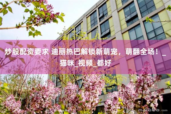 炒股配资要求 迪丽热巴解锁新萌宠，萌翻全场！_猫咪_视频_都好