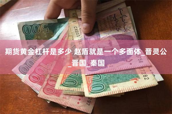 期货黄金杠杆是多少 赵盾就是一个多面体_晋灵公_晋国_秦国
