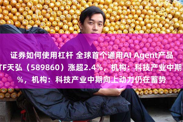证券如何使用杠杆 全球首个通用AI Agent产品亮相，科创综指ETF天弘（589860）涨超2.4%，机构：科技产业中期向上动力仍在蓄势