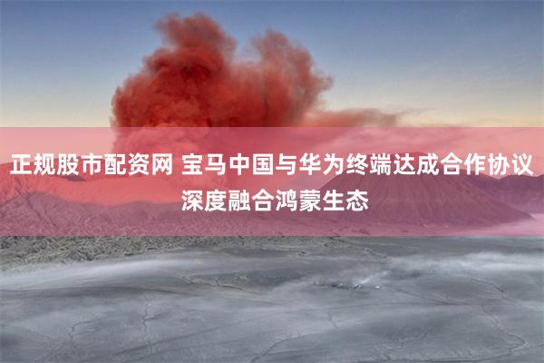 正规股市配资网 宝马中国与华为终端达成合作协议 深度融合鸿蒙生态