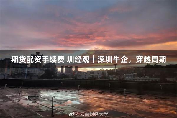 期货配资手续费 圳经观｜深圳牛企，穿越周期