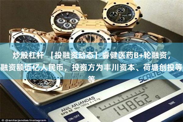 炒股杠杆 【投融资动态】睿健医药B+轮融资，融资额近亿人民币，投资方为丰川资本、荷塘创投等