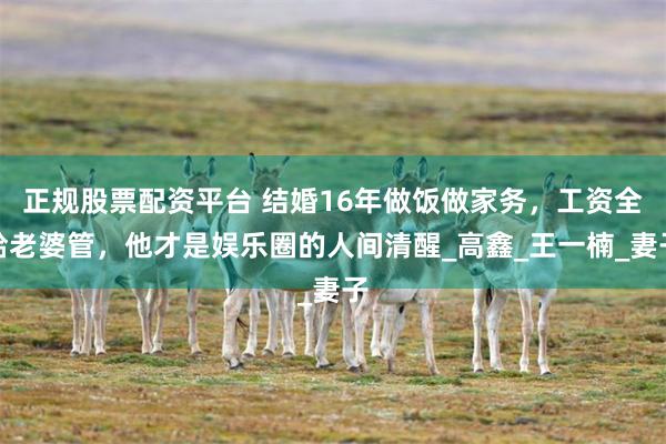 正规股票配资平台 结婚16年做饭做家务，工资全给老婆管，他才是娱乐圈的人间清醒_高鑫_王一楠_妻子