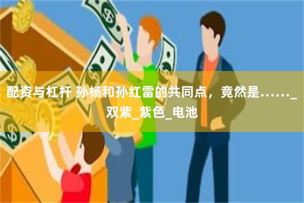 配资与杠杆 孙杨和孙红雷的共同点，竟然是……_双紫_紫色_电池