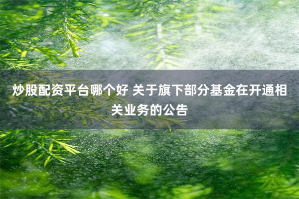 炒股配资平台哪个好 关于旗下部分基金在开通相关业务的公告