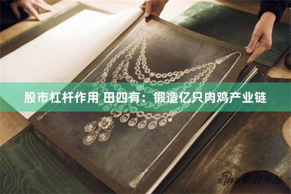 股市杠杆作用 田四有：锻造亿只肉鸡产业链