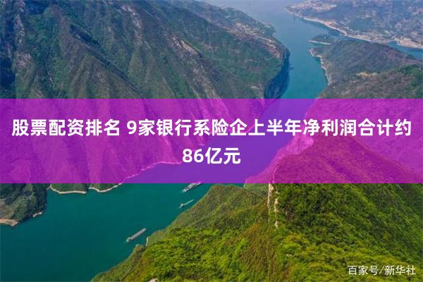 股票配资排名 9家银行系险企上半年净利润合计约86亿元