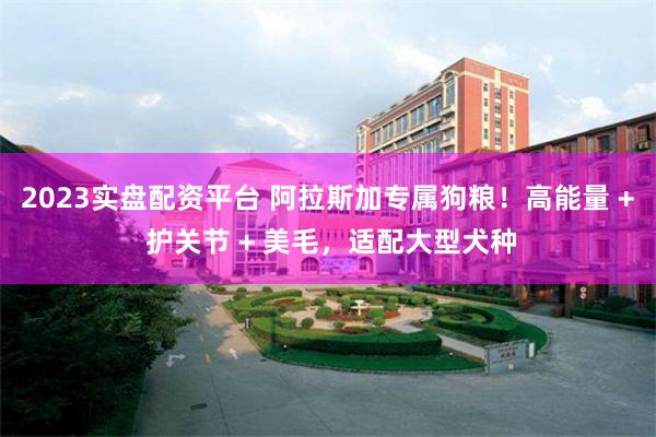 2023实盘配资平台 阿拉斯加专属狗粮！高能量 + 护关节 + 美毛，适配大型犬种
